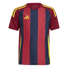 STRIPED 24 TRIKOT KIDS-2349108