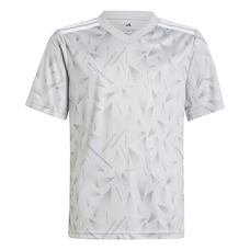 Team Icon 25 Trikot Kids-2367013