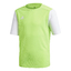 ESTRO 19 TRIKOT KINDER sgreenwhite