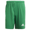 SQUADRA 21 SHORT teagrnwhite