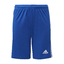 SQUADRA 21 SHORT KINDER roybluwhite