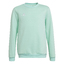 ENTRADA 22 SWEATSHIRT clemin