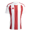 STRIPED 24 TRIKOT whitetepore