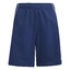 TIRO25C DT SHOY tenablcreblu