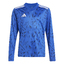 Team Icon 25 Trikot Kids roybluwhite