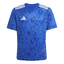 Team Icon 25 Trikot Kids roybluwhite