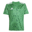 Team Icon 25 Trikot Kids teagrnwhite