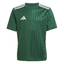 Campeon 25 Trikot Kids drkgrnwhite