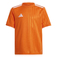 Campeon 25 Trikot Kids teaorawhite