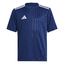 Campeon 25 Trikot Kids tenablwhite