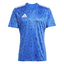 Team Icon 25 Trikot roybluwhite