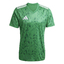 Team Icon 25 Trikot teagrnwhite