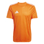 Campeon 25 Trikot teaorawhite