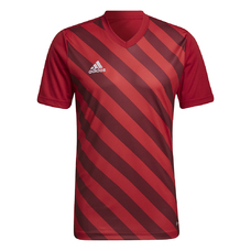 ENTRADA 22 GRAPHIC TRIKOT-1428967
