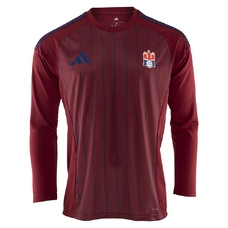 HSV Hamburg WarmUp Langarmshirt 25/26-2410818