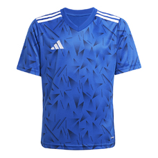 Team Icon 25 Trikot Kids-2366353